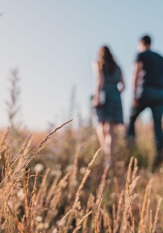 Untitled design (19)